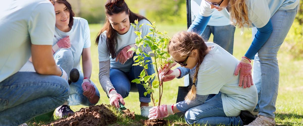تأثیرات بلندمدت کارهای داوطلبانه بر آرامش ذهنی