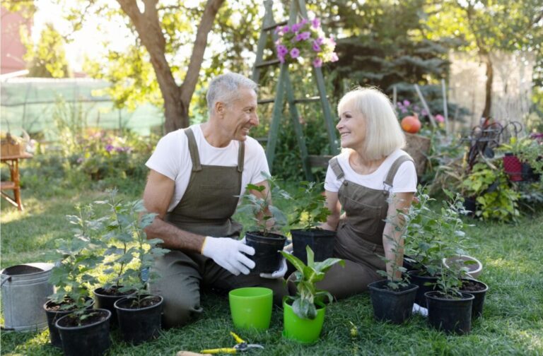 راهکارهای افزایش انسجام اجتماعی از طریق باغبانی