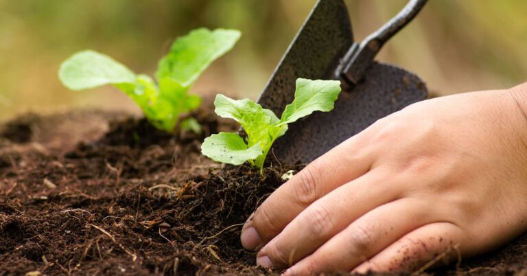 اثرات مثبت فعالیت در فضای سبز بر کیفیت خواب و بهزیستی روانی