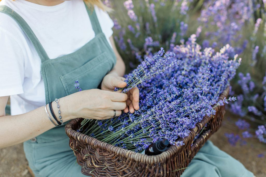 باغبانی و تاثیرات آن بر سلامت جسمانی و روانی  نگاهی به اثرات علمی و عملی آن در میان‌سالی و سالمندی
